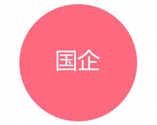 国企